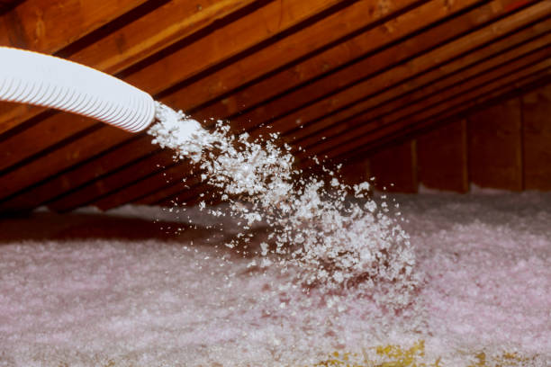 Best Types of Insulation in Quincy, CA